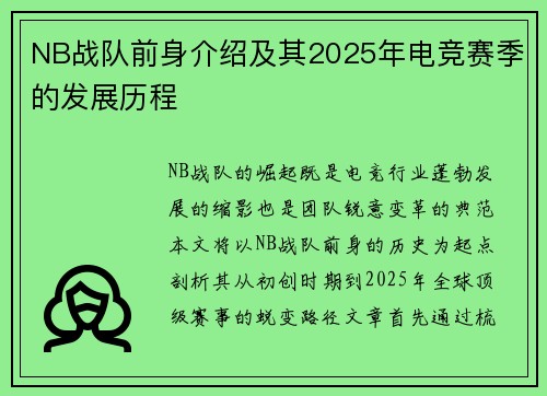 NB战队前身介绍及其2025年电竞赛季的发展历程